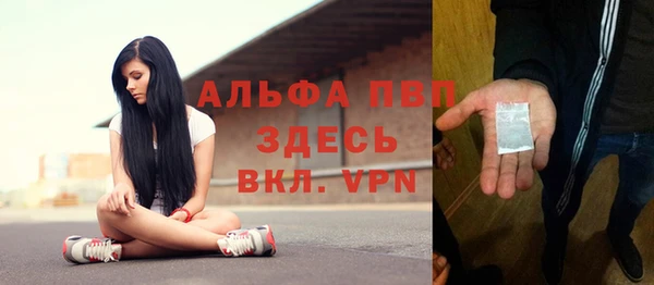 прущие грибы Волосово