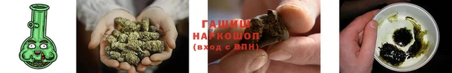 прущие грибы Волосово