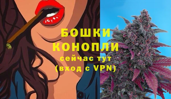 стафф Володарск