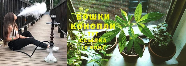 прущие грибы Волосово