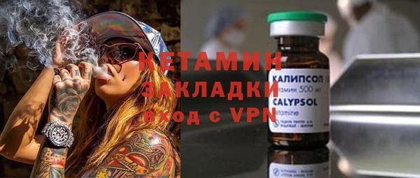прущие грибы Волосово